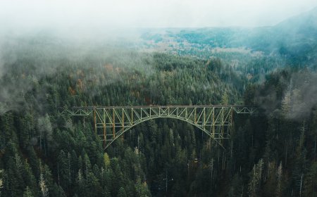 If you are going to use a passage of Lorem Ipsum, you need to be