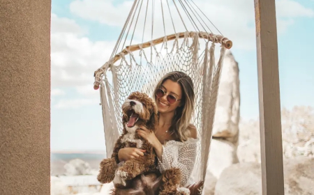 quia consequuntur magni dolores eos qui ratione volupta