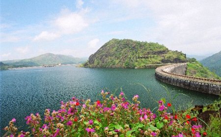 വിശ്വാസിച്ചാലും ഇല്ലെങ്കിലും ഇതാണ് സംഭവം........